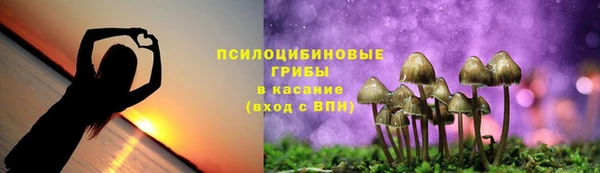 крисы Вяземский