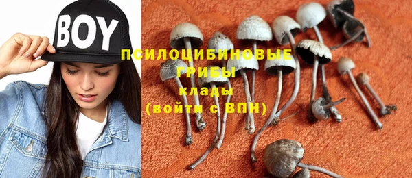 крисы Вяземский