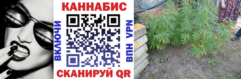 Купить закладки Муравленко Бошки марихуана AK-47